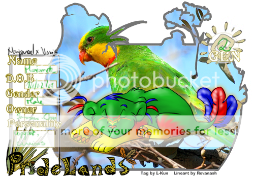 User Image